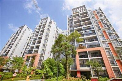 小区排水管道安装